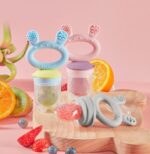 Fresh Food Feeder & Teether - HaaKaa