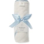Terry Velour Hooded Towel  Mini Mod Circles Trim, Pastel Blue - Swaddle Design
